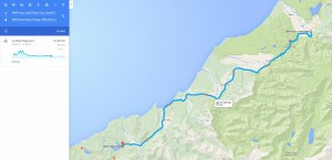 NZ 7