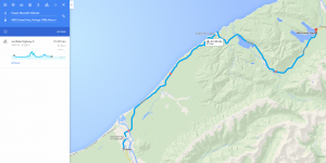 NZ 8