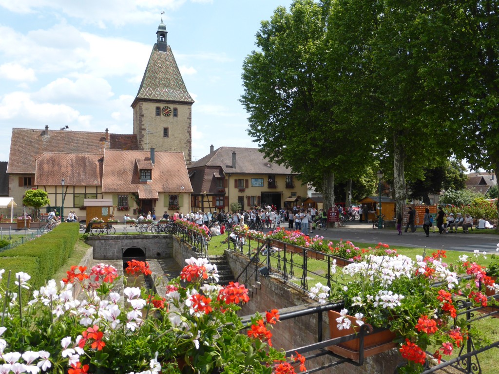 bergheim (7)