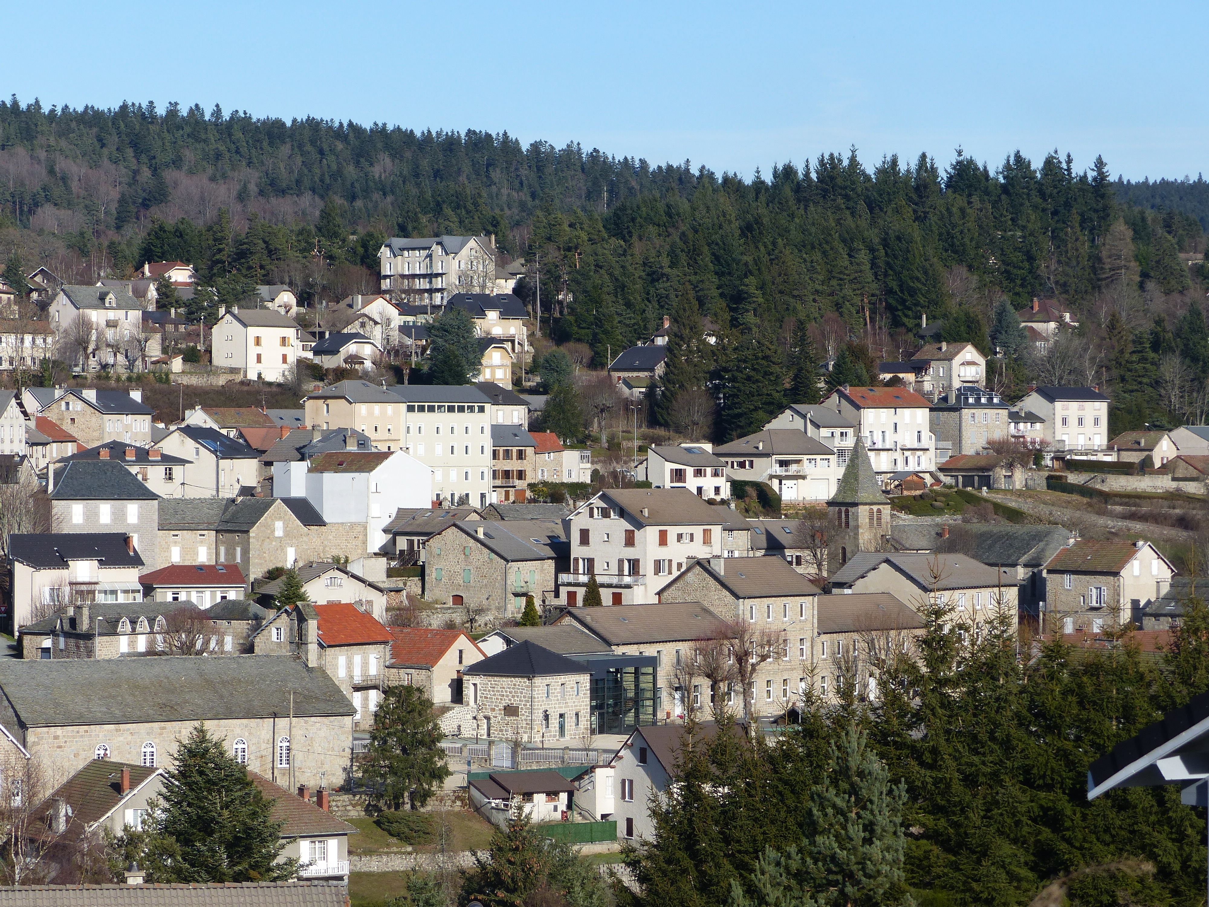 Le Chambon vue de la coline en face -  : photo origine office de tourisme du Haut Lignon